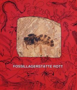 Fossillagerstätte Rott bei Hennef im Siebengebirge: Das Leben an einem subtropischen See vor 25 Millionen Jahren