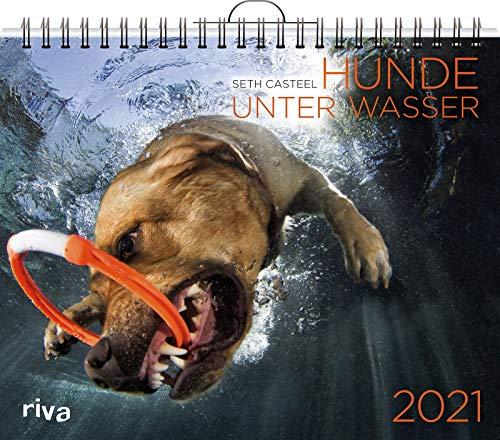 Hunde unter Wasser 2021: Wandkalender