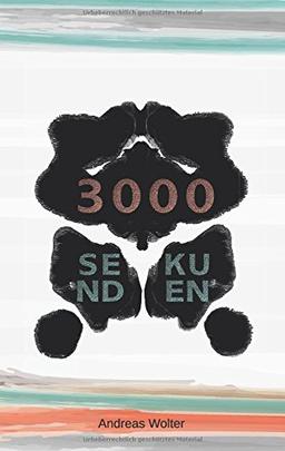 3000 Sekunden