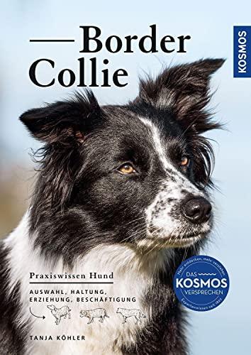 Border Collie: Auswahl, Haltung, Erziehung, Beschäftigung