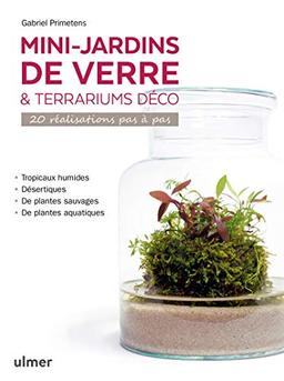 Mini-jardins de verre & terrariums déco : 20 réalisations pas à pas