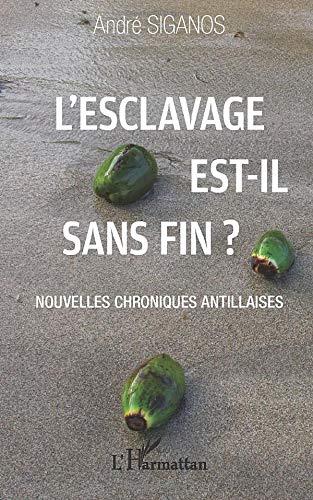 L'esclavage est-il sans fin ? : nouvelles chroniques antillaises