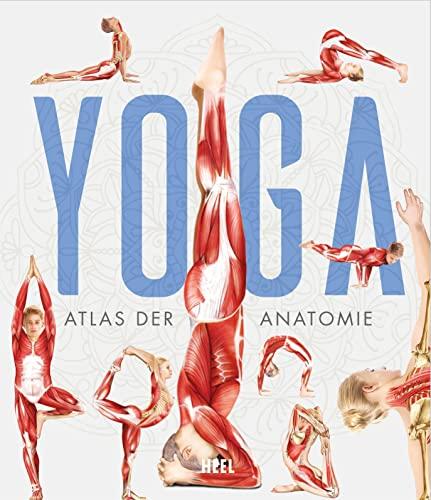 YOGA: Atlas der Anatomie