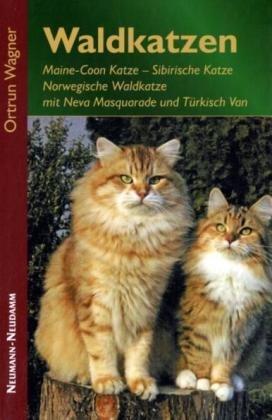 Waldkatzen: Maine-Coon Katze, Sibirische Katze, Norwegische Waldkatze mit Neva Masquarade und Türkisch Van