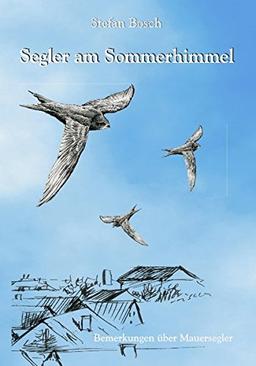 Segler am Sommerhimmel: Bemerkungen über Mauersegler