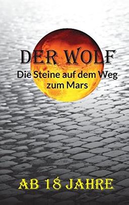 Die Steine auf dem Weg zum Mars