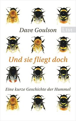 Und sie fliegt doch: Eine kurze Geschichte der Hummel