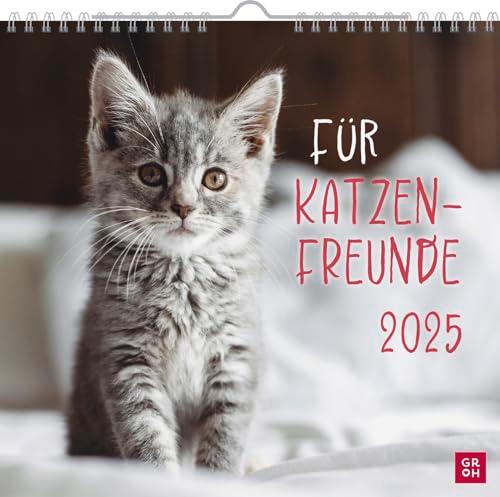 Wandkalender 2025: Für Katzenfreunde: Katzenkalender 2025 mit niedlichen Katzenfotos und Zitaten für Katzenliebhaber. Monatskalender zum Aufhängen