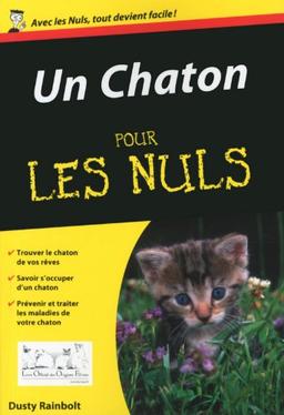 Un chaton pour les nuls