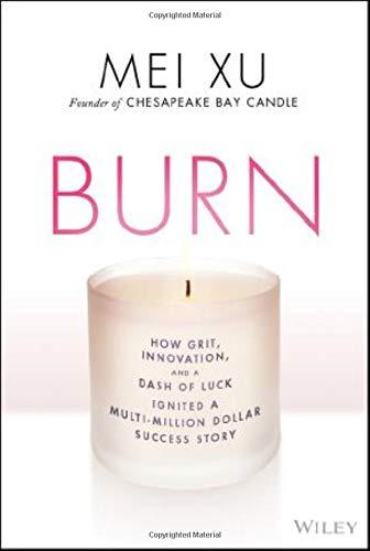 Burn: How Grit, Innovation, and a Dash of Luck Ignited a Multi-Million Dollar Success Story