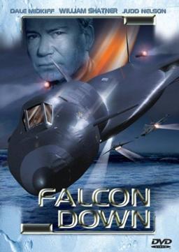 Falcon Down