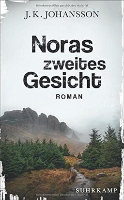 Noras zweites Gesicht: Roman (Palokaski-Trilogie)