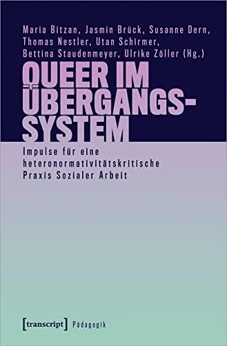 Queer im Übergangssystem: Impulse für eine heteronormativitätskritische Praxis Sozialer Arbeit (Pädagogik)