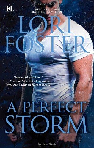 A Perfect Storm (Hqn)