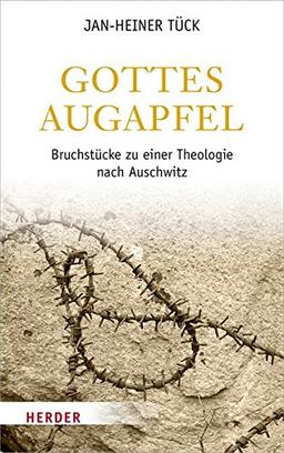 Gottes Augapfel: Bruchstücke zu einer Theologie nach Auschwitz