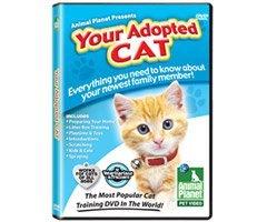 PetsIncredible ~ Your Adopted Cat