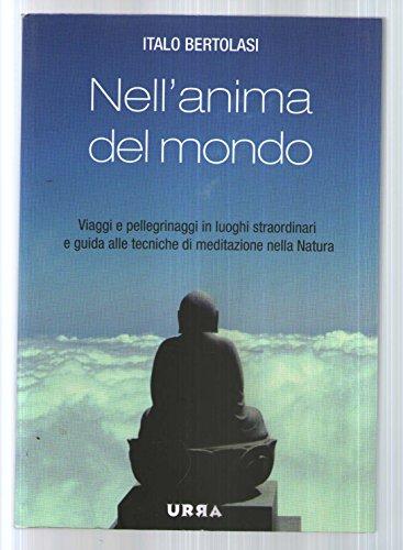 Nell'anima del mondo. Viaggi e pellegrinaggi in luoghi straordinari e guida alle tecniche di meditazione nella natura