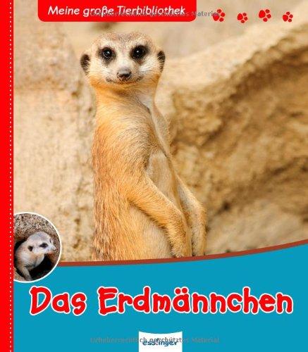 Das Erdmännchen