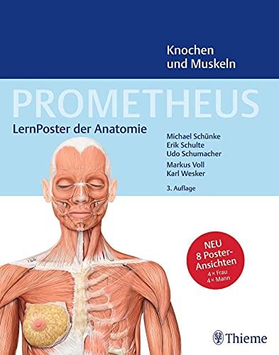 PROMETHEUS LernPoster der Anatomie, Knochen und Muskeln