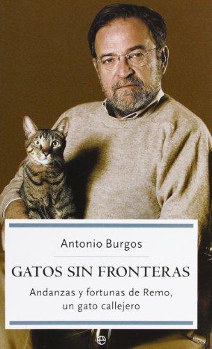 Gatos sin fronteras