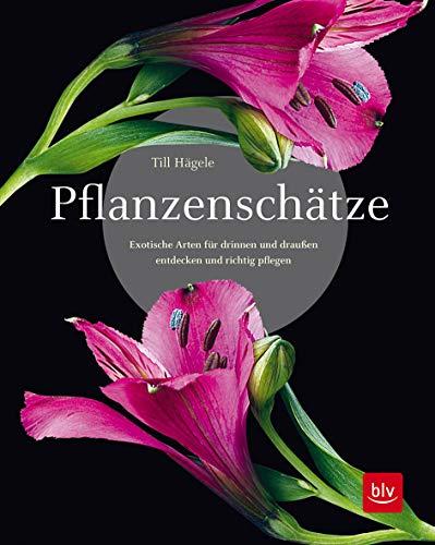 Pflanzenschätze: Exotische Arten für drinnen und draußen entdecken und richtig pflegen (Deko & Zimmerpflanzen)