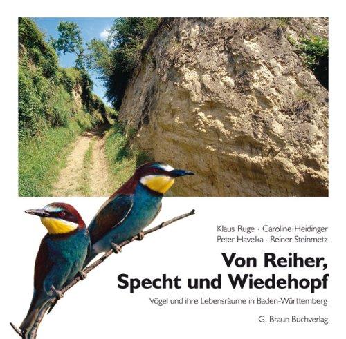 Von Reiher, Specht und Wiedehopf: Vögel und ihre Lebensräume in Baden-Württemberg