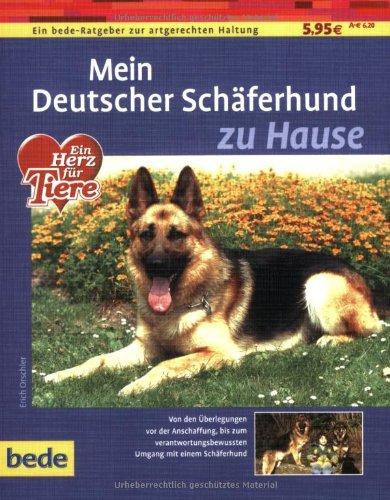 Deutscher Schäferhund, zu Hause