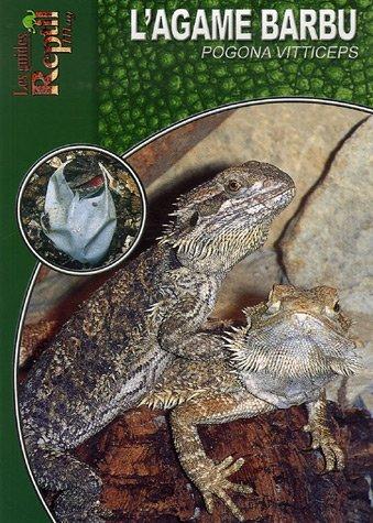 L'Agame Barbu: Pogona Vitticeps