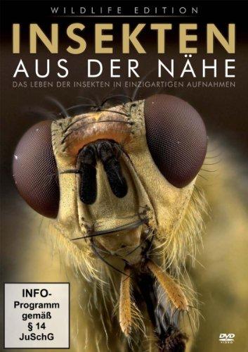 Insekten aus der Nähe