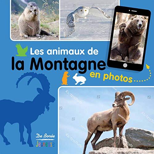 Les animaux de la montagne en photos