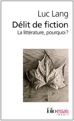 Délit de fiction : la littérature, pourquoi ?