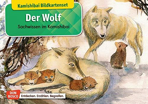 Der Wolf. Kamishibai Bildkartenset.: Entdecken - Erzählen – Begreifen: Sachwissen.