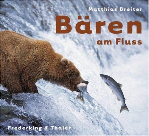 Bären am Fluss