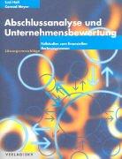 Abschlussanalyse und Unternehmensbewertung. Fallstudien zum finanziellen Erfolg: Lösungsvorschläge