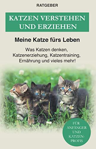 Katzen verstehen und erziehen: Der Katzenratgeber — Was Katzen denken, Katzenerziehung, Katzentraining, Ernährung und vieles mehr!