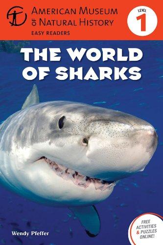 The World of Sharks: Level 1