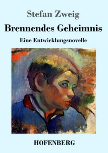 Brennendes Geheimnis: Eine Entwicklungsnovelle