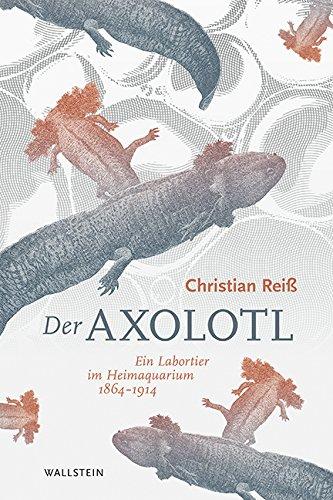 Der Axolotl: Ein Labortier im Heimaquarium 1864 -1914