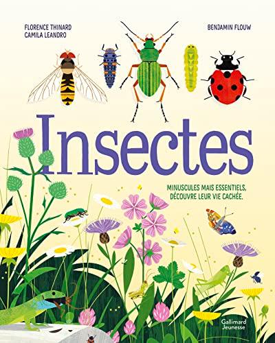 Insectes : minuscules mais essentiels, découvre leur vie cachée