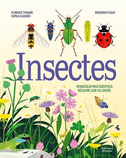 Insectes : minuscules mais essentiels, découvre leur vie cachée