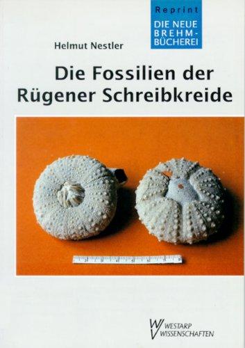 FOSSILIEN D. RÜGENER ... SCHREIBKREIDE