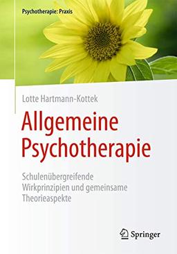 Allgemeine Psychotherapie: Schulenübergreifende Wirkprinzipien und gemeinsame Theorieaspekte (Psychotherapie: Praxis)