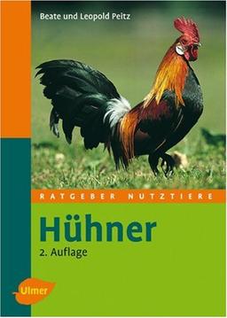 Hühner