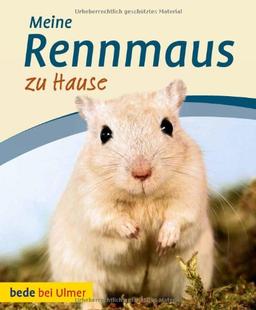 Meine Rennmaus zu Hause