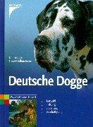 Deutsche Dogge: Auswahl, Haltung, Erziehung, Beschäftigung