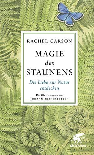 Magie des Staunens: Die Liebe zur Natur entdecken