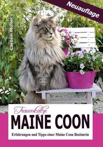 Traumkatze Maine Coon - Erfahrungen und Tipps einer Maine Coon Besitzerin