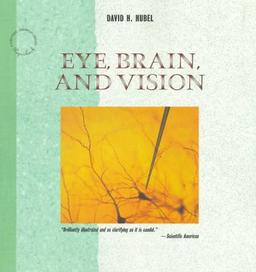 Eye, Brain, and Vision (Scientific American Library Series)