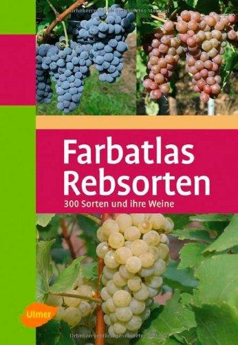 Farbatlas Rebsorten: 300 Sorten und ihre Weine