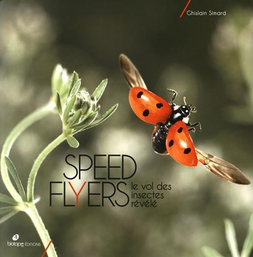 Speed flyers : le vol des insectes révélé